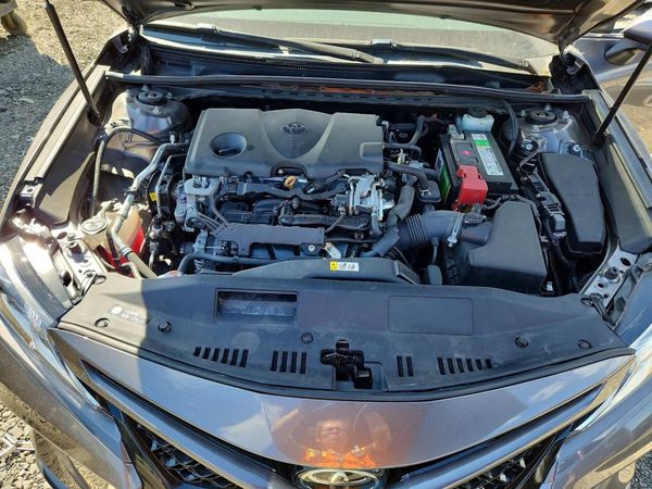 2019 TOYOTA CAMRY L/LE/SE/XLE