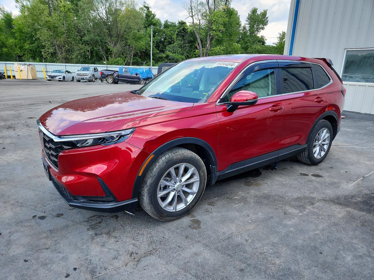 2025 HONDA CR-V EX-L