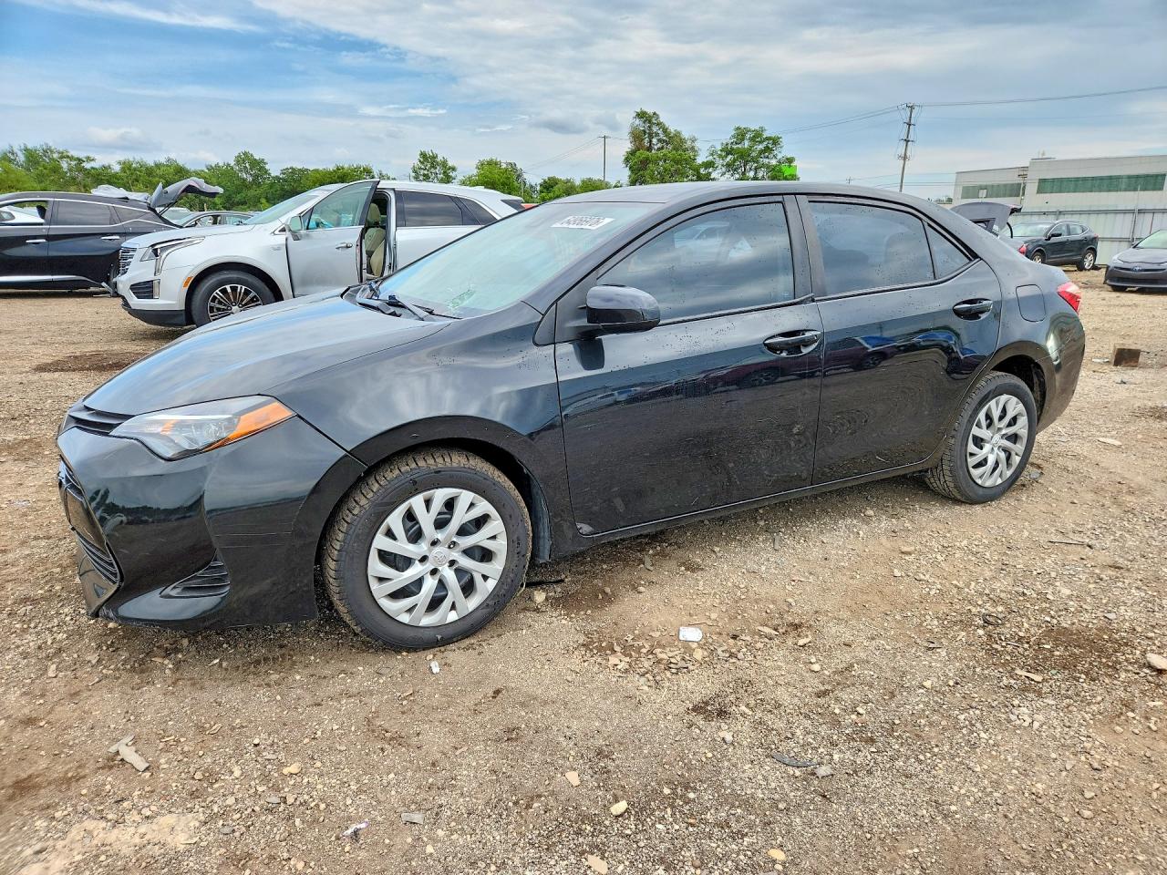 2019 TOYOTA COROLLA