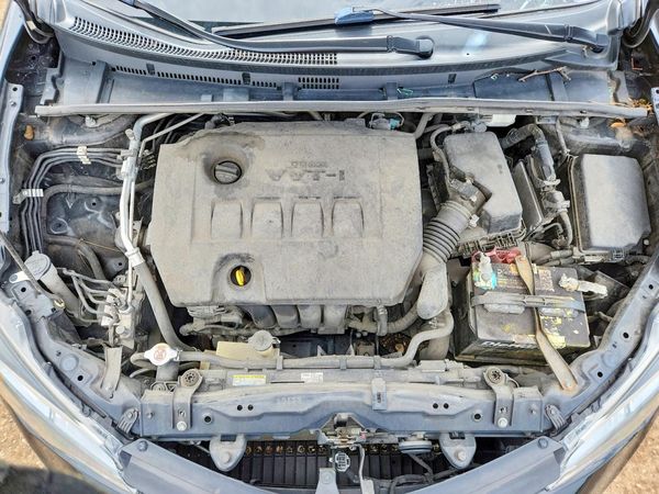 2019 TOYOTA COROLLA