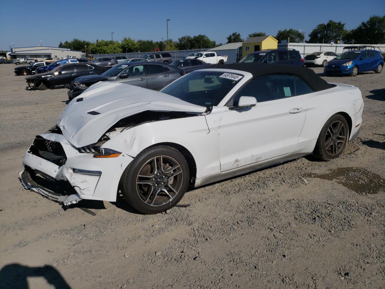 2019 FORD MUSTANG