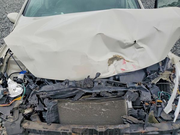 2015 KIA FORTE 4D GL(Middle-low grade)