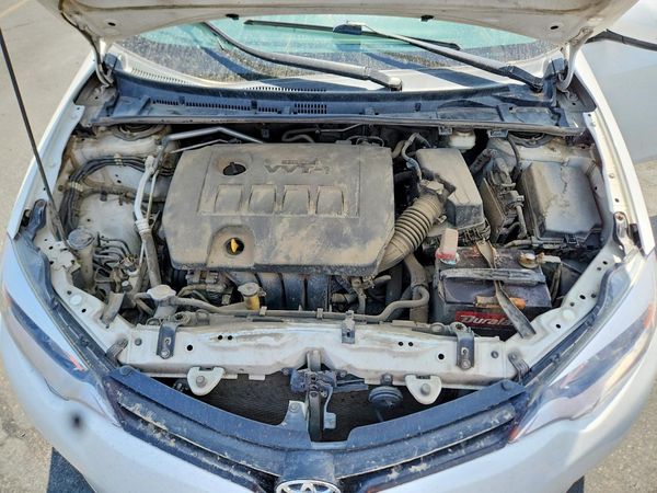 2014 TOYOTA COROLLA L/LE