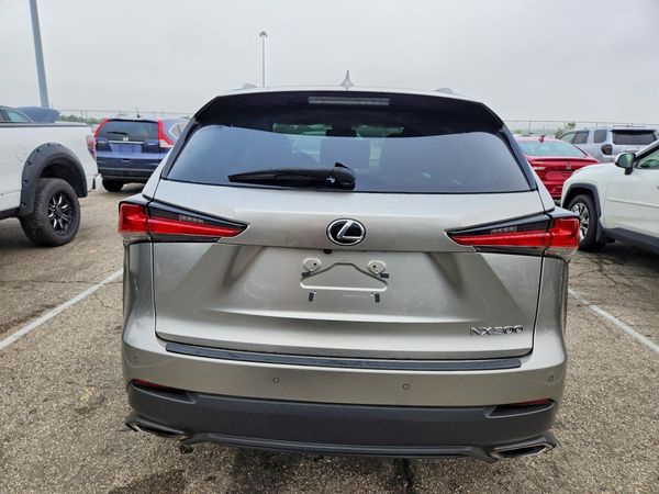 2019 LEXUS NX 300 300 Luxury