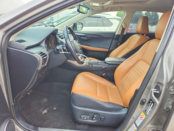 2019 LEXUS NX 300 300 Luxury