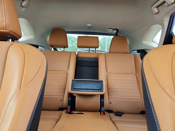 2019 LEXUS NX 300 300 Luxury