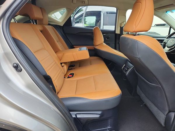 2019 LEXUS NX 300 300 Luxury