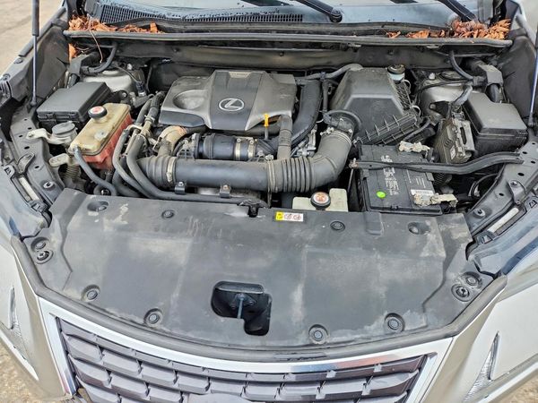 2019 LEXUS NX 300 300 Luxury