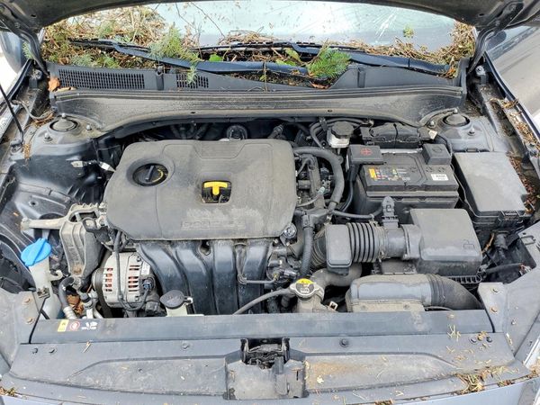 2019 KIA FORTE FE/LX/LXS