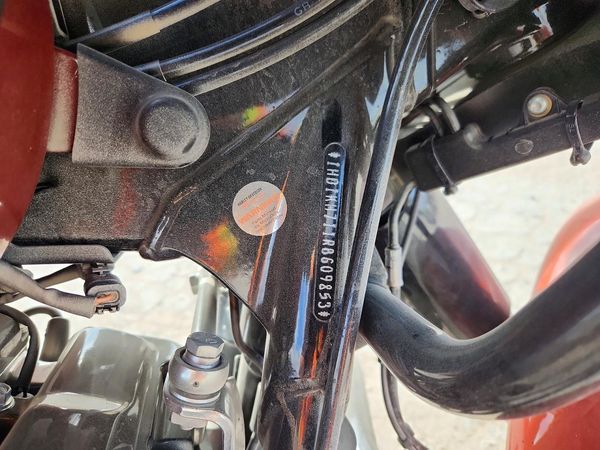 2024 HARLEY-DAVIDSON FL