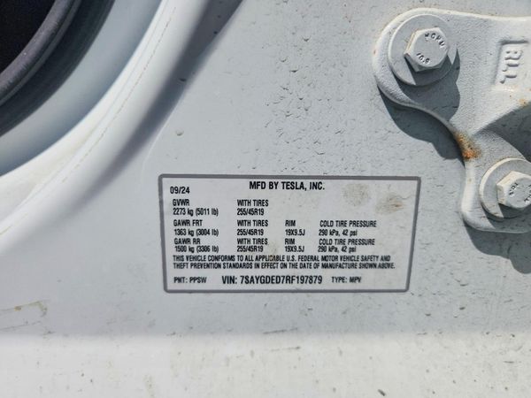 2024 TESLA MODEL Y