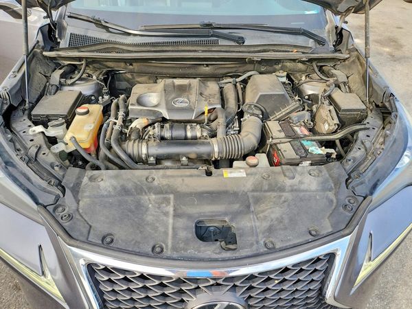 2016 LEXUS NX 200T 200t Luxury