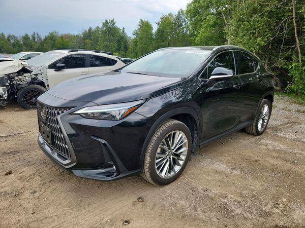 2026 LEXUS NX 350 Premium