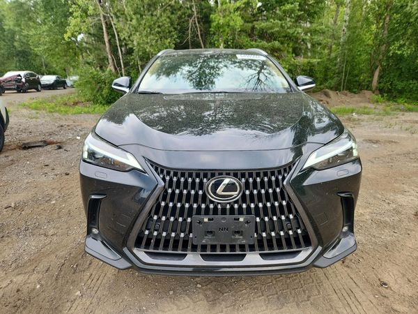 2026 LEXUS NX 350 Premium