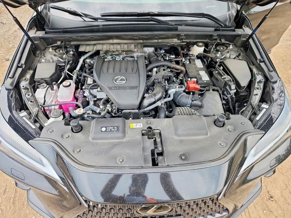 2026 LEXUS NX 350 Premium