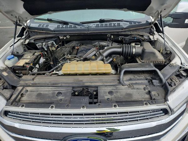 2019 FORD F150
