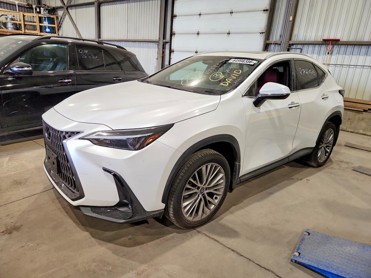 2024 LEXUS NX