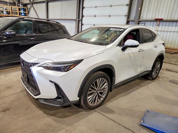 2024 LEXUS NX