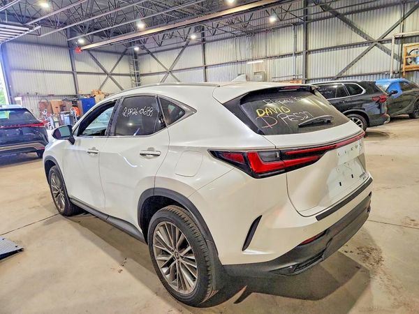 2024 LEXUS NX