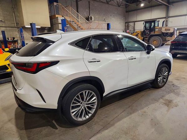 2024 LEXUS NX