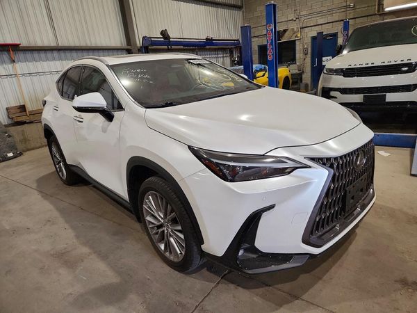 2024 LEXUS NX