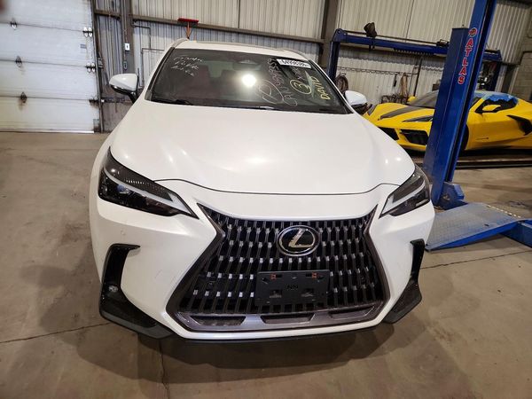 2024 LEXUS NX