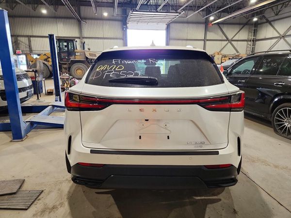2024 LEXUS NX