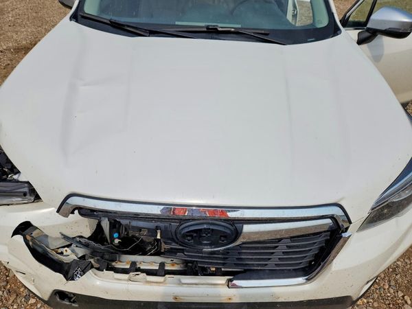 2020 SUBARU FORESTER Trg+ES+NAVI(HK)+KA