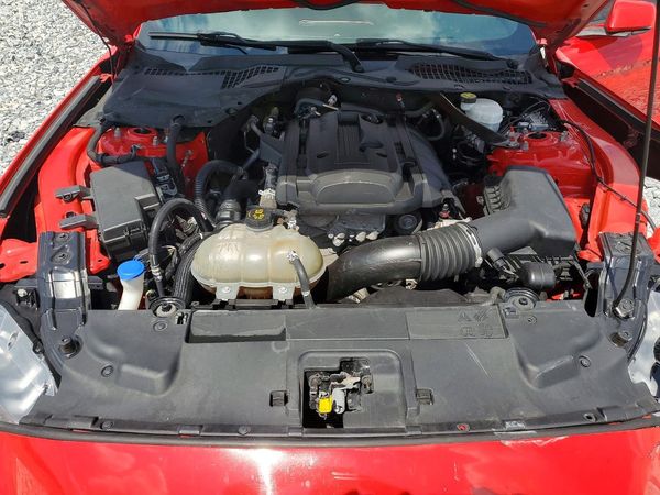 2020 FORD MUSTANG I4 Convertible