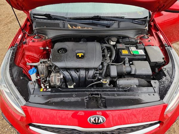 2019 KIA FORTE FE/LX/LXS