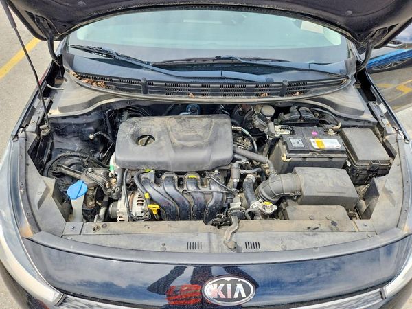 2019 KIA RIO