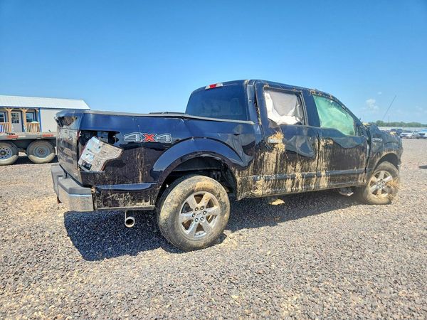 2019 FORD F150