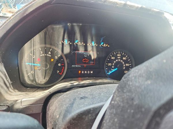 2019 FORD F150