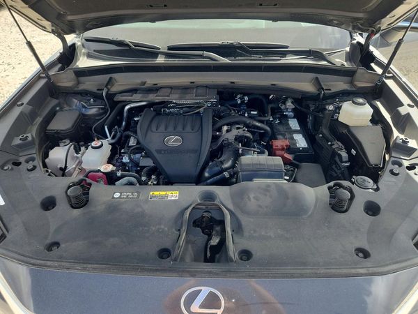 2024 LEXUS TX 350