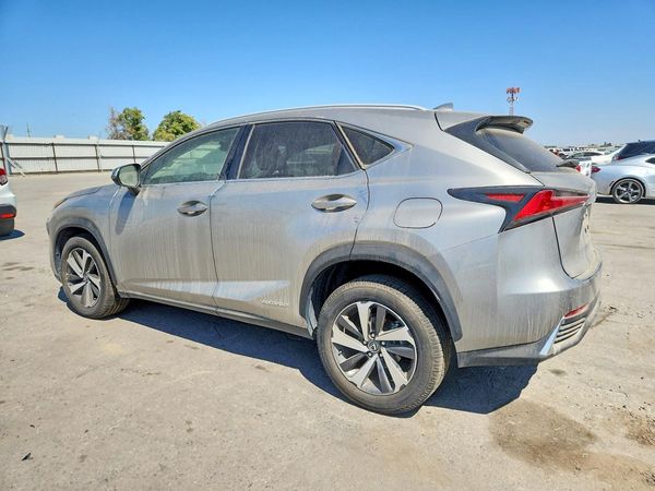 2019 LEXUS NX 300H Luxury