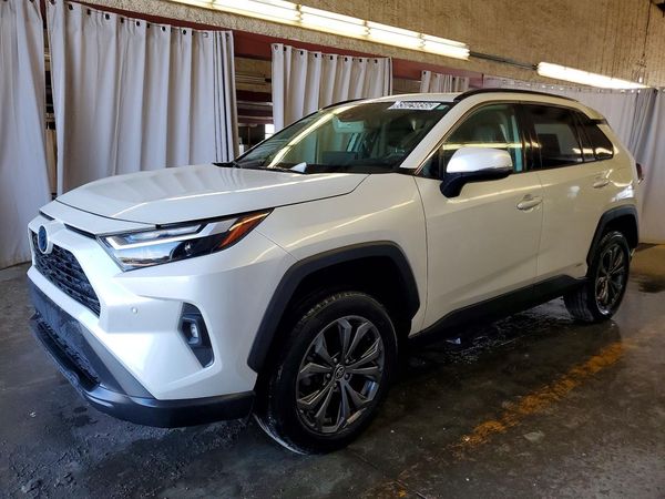 2024 TOYOTA RAV4 XLE Premium