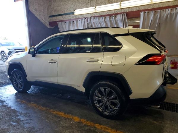2024 TOYOTA RAV4 XLE Premium