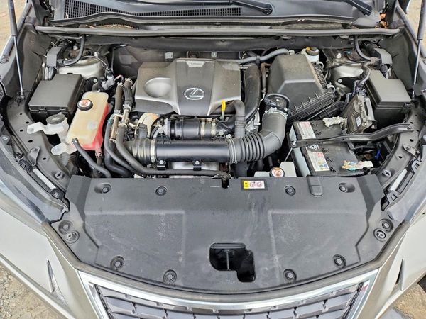 2021 LEXUS NX 300