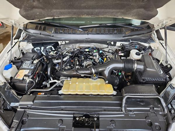2019 FORD F150