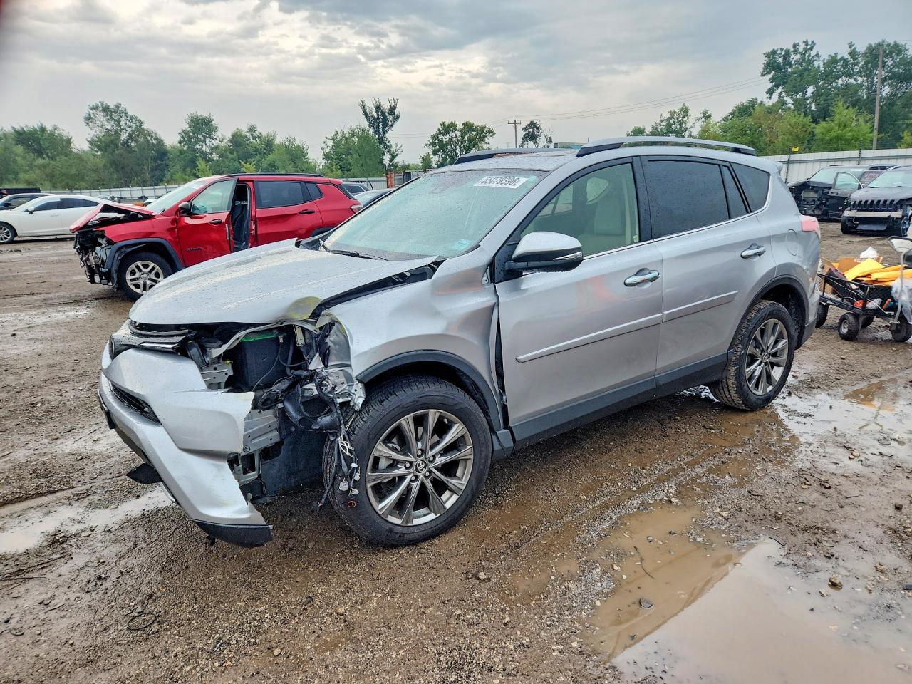 2018 TOYOTA RAV4 Ltd/Platinum