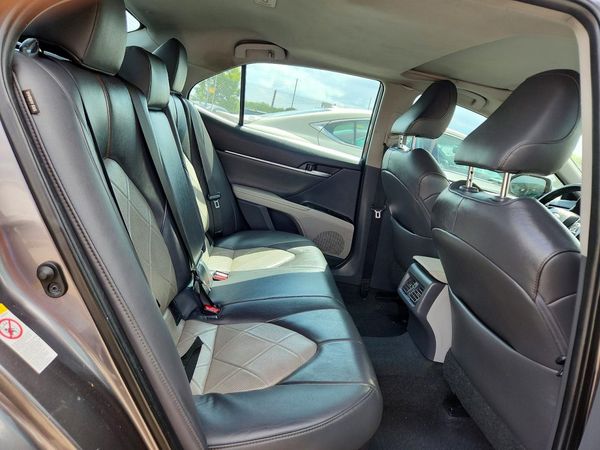 2019 TOYOTA CAMRY SE/XLE Hybrid