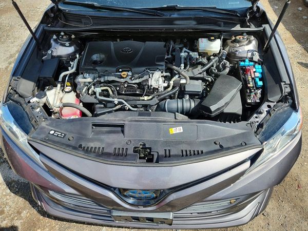 2019 TOYOTA CAMRY SE/XLE Hybrid
