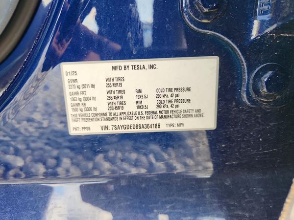 2025 TESLA MODEL Y