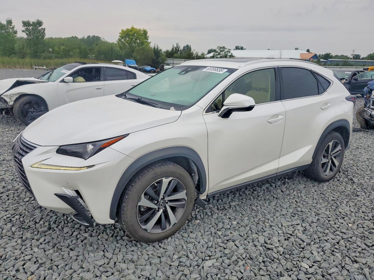2019 LEXUS NX 300 300 Luxury — Front 3/4