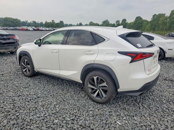 2019 LEXUS NX 300 300 Luxury — DSRA