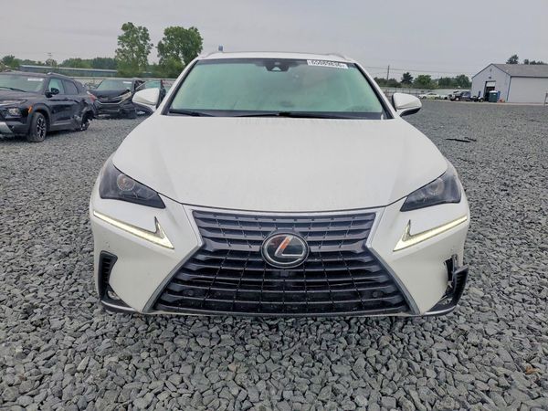 2019 LEXUS NX 300 300 Luxury — DIRF