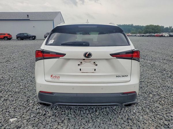 2019 LEXUS NX 300 300 Luxury — DIRR