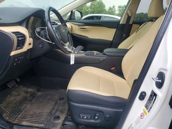 2019 LEXUS NX 300 300 Luxury — DENT