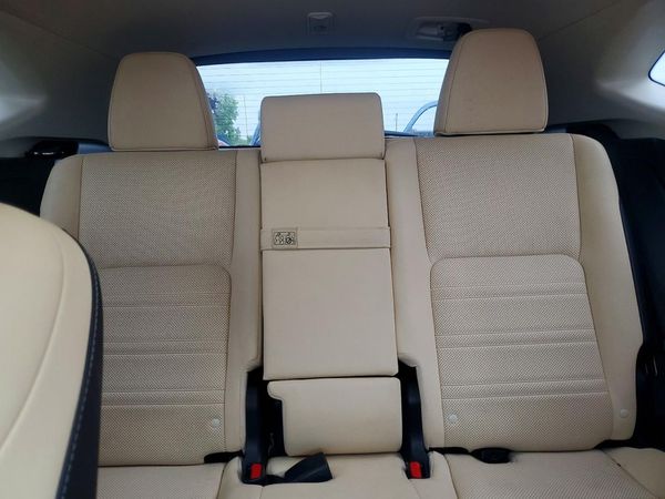 2019 LEXUS NX 300 300 Luxury — SUVN