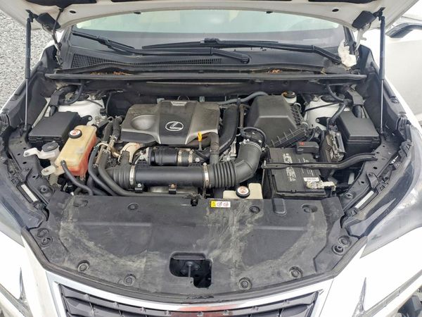 2019 LEXUS NX 300 300 Luxury — Engine bay